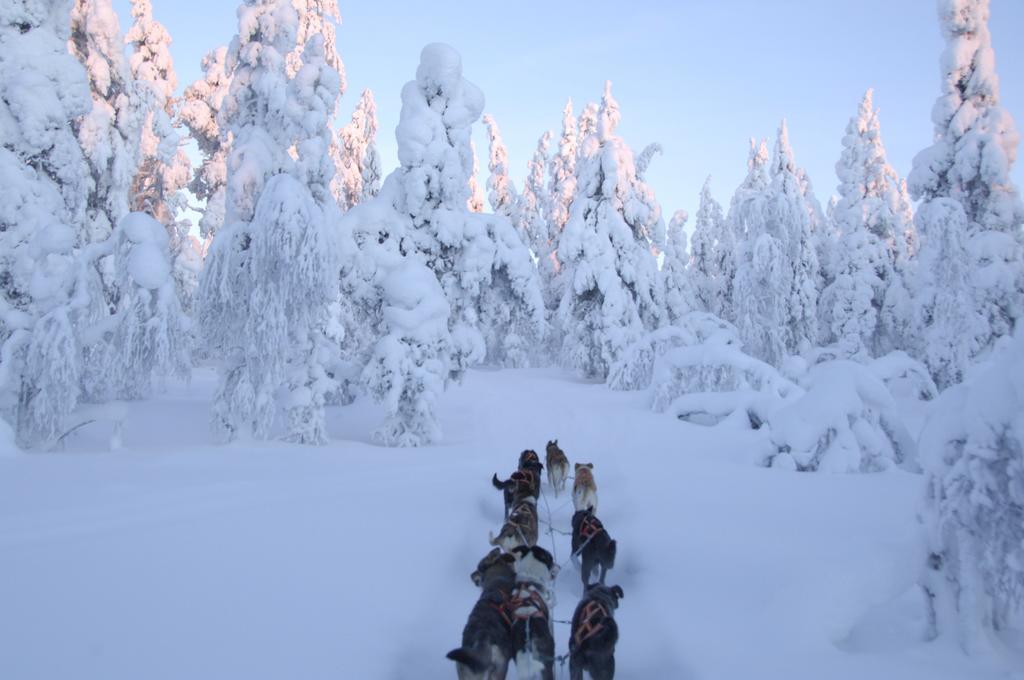 Gasthof Husky