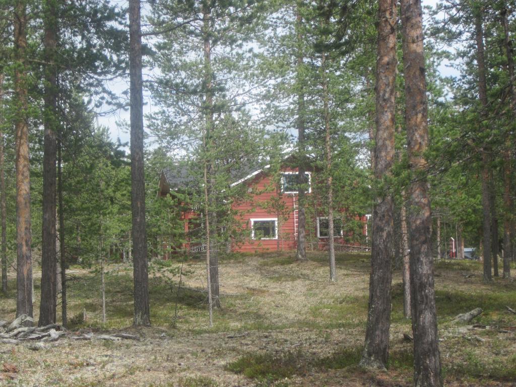Husky 3* Ivalo